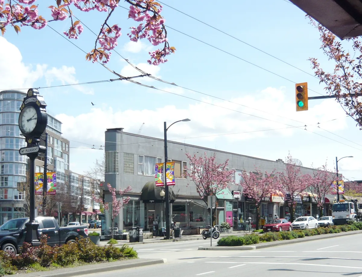 Storefronts and cherry blossoms on Main Street in Vancouver