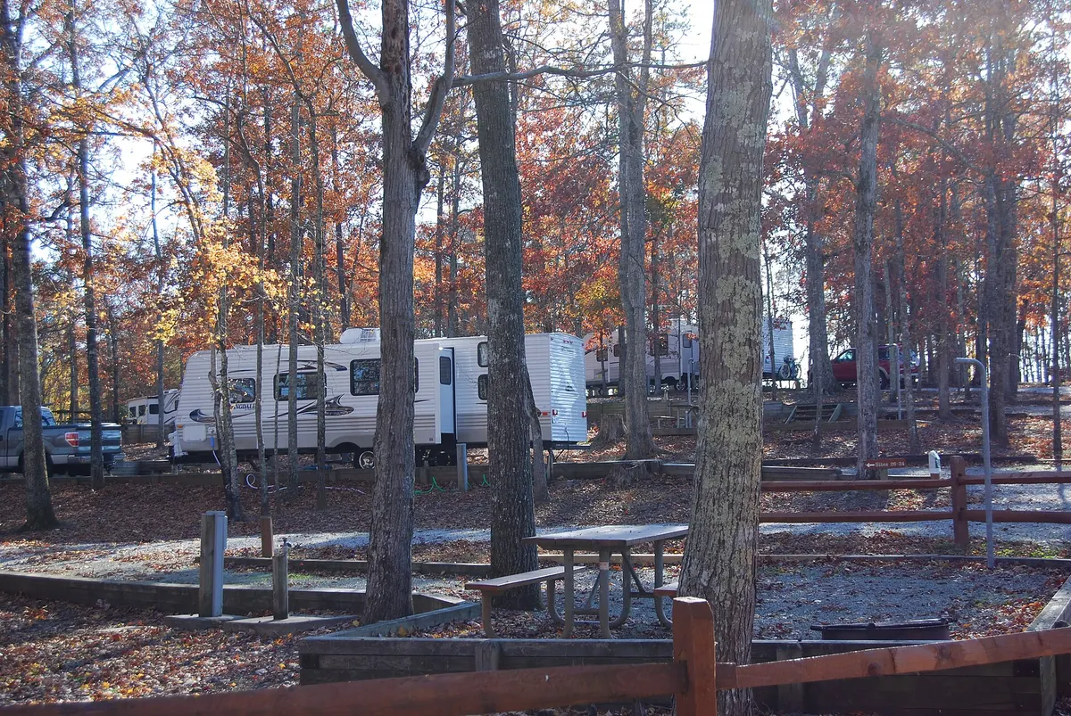 RVs parked among the trees at a wooded campground
